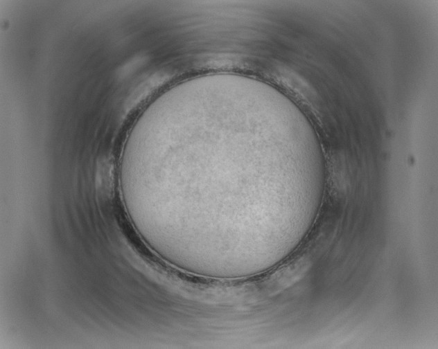 X0000062870016200601131453