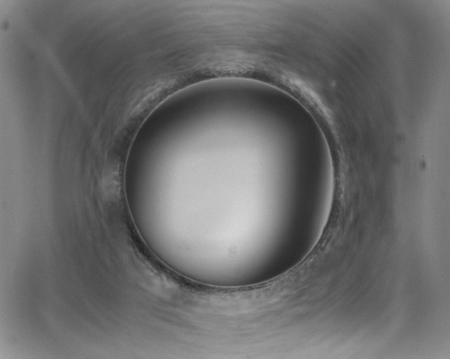 X0000062870017200601131453