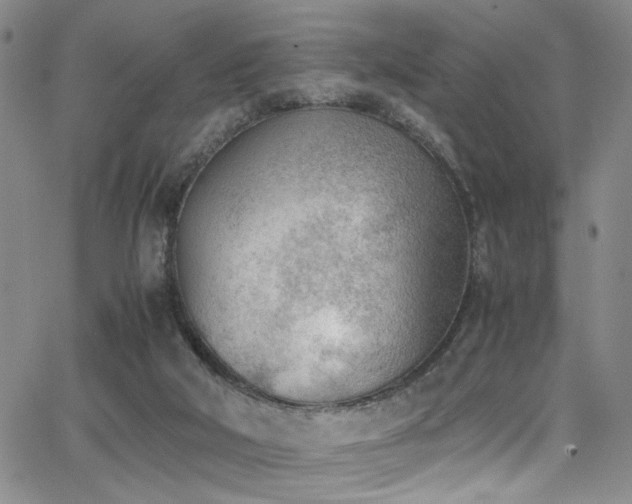 X0000062870018200601131453