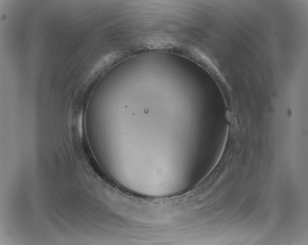 X0000062870019200601131453