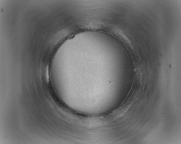 X0000062870020200601131453