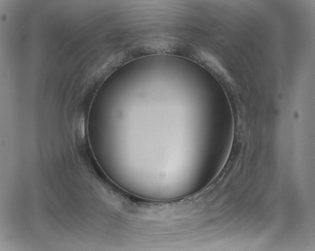 X0000062870021200601131453