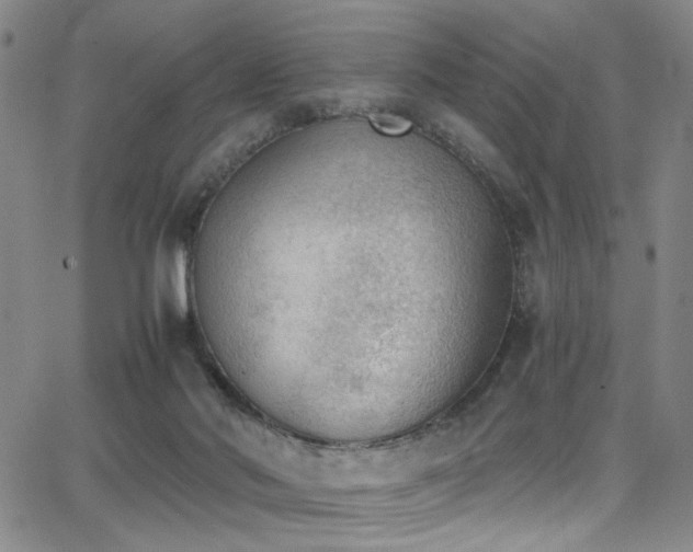 X0000062870022200601131453