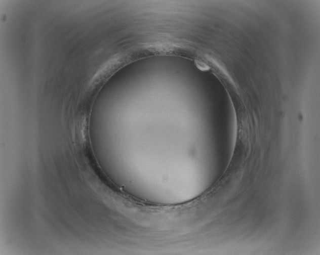 X0000062870023200601131453