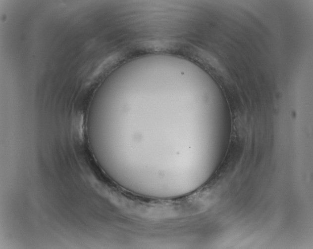 X0000062870024200601131453