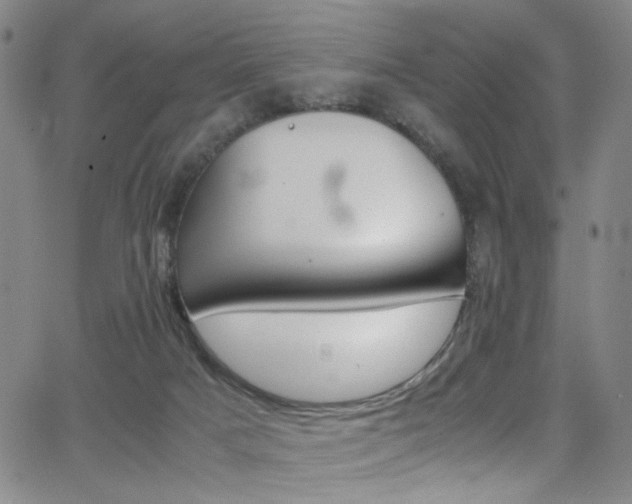 X0000062870025200601131453