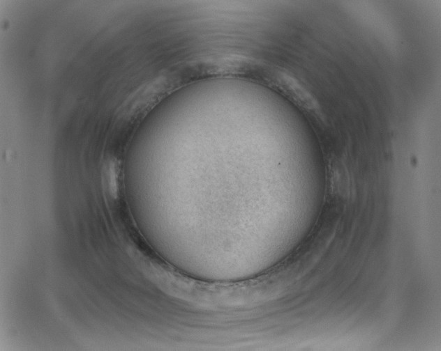 X0000062870026200601131453