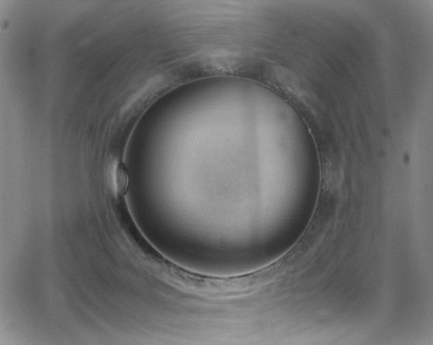 X0000062870027200601131453