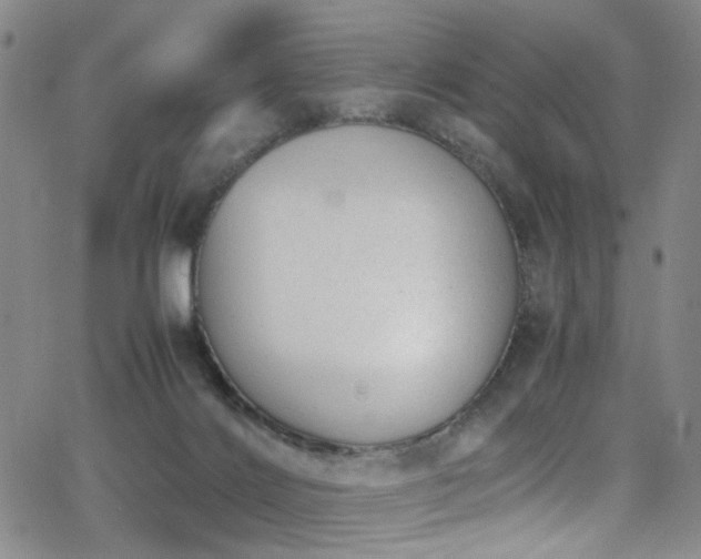 X0000062870028200601131453