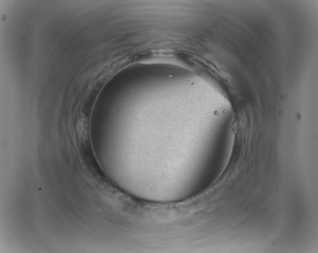 X0000062870029200601131453