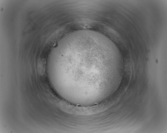 X0000062870030200601131453