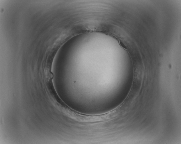 X0000062870031200601131453