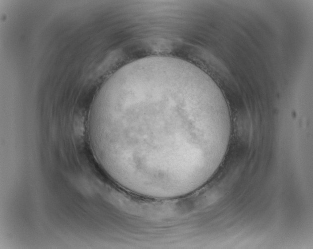 X0000062870032200601131453