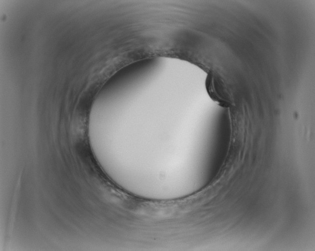 X0000062870033200601131453