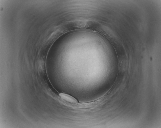 X0000062870035200601131453