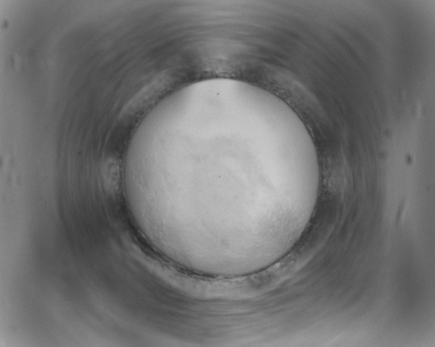 X0000062870036200601131453