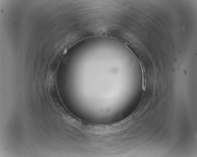 X0000062870037200601131453