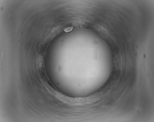 X0000062870038200601131453