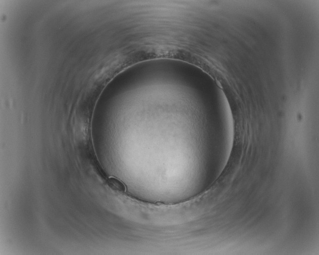 X0000062870039200601131452