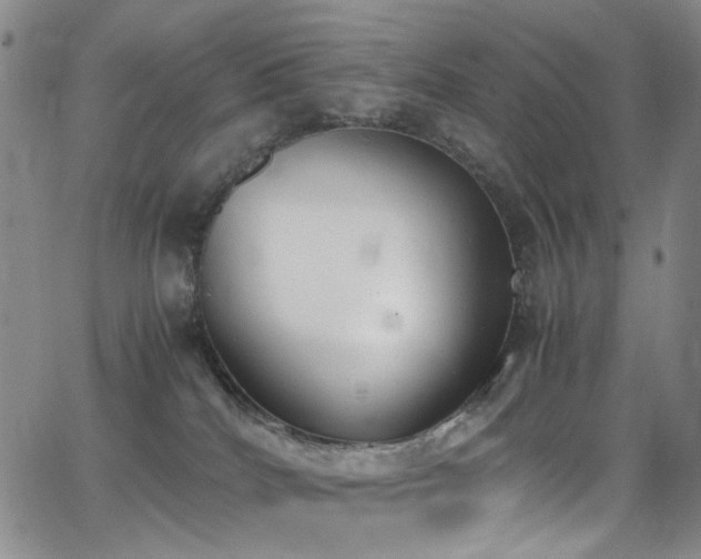 X0000062870040200601131452