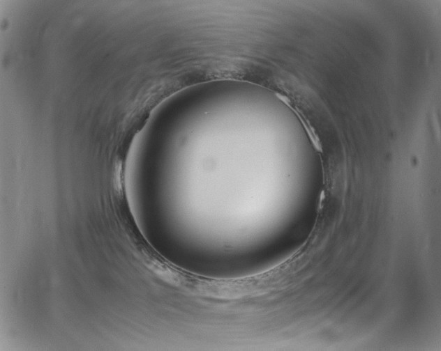 X0000062870041200601131452