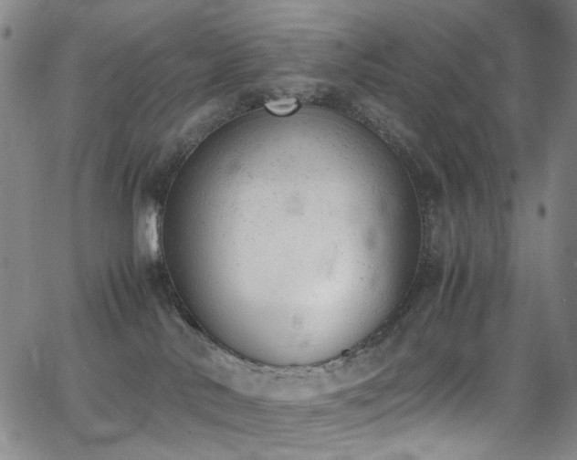 X0000062870042200601131452