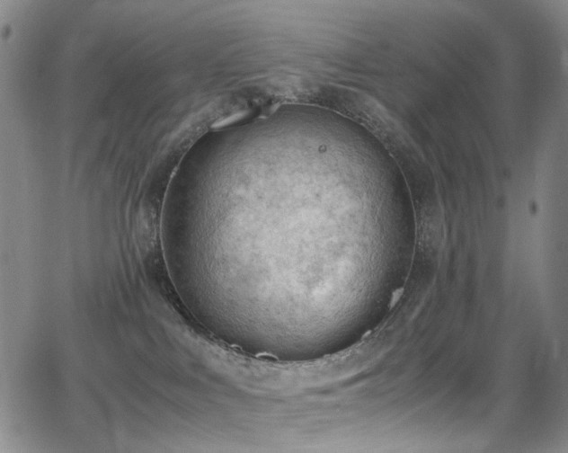 X0000062870043200601131452