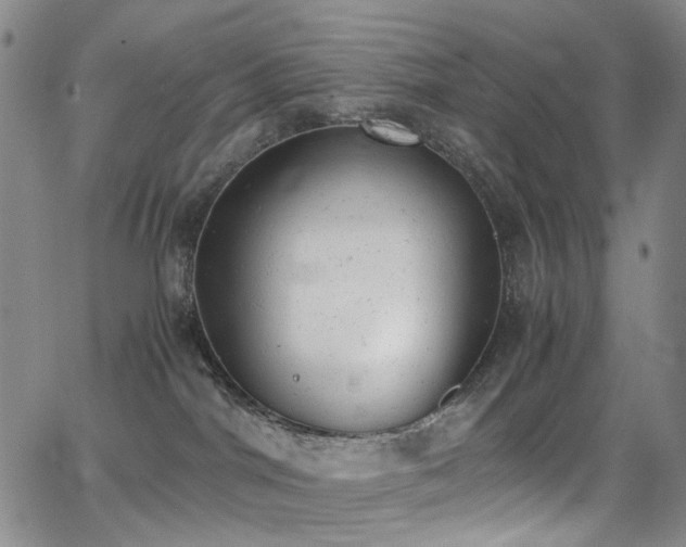 X0000062870044200601131452