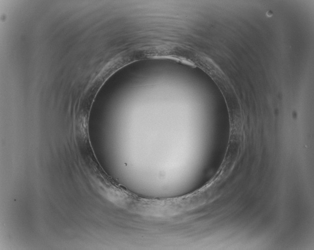 X0000062870045200601131452