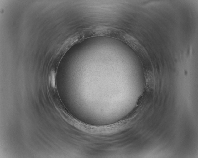 X0000062870046200601131452