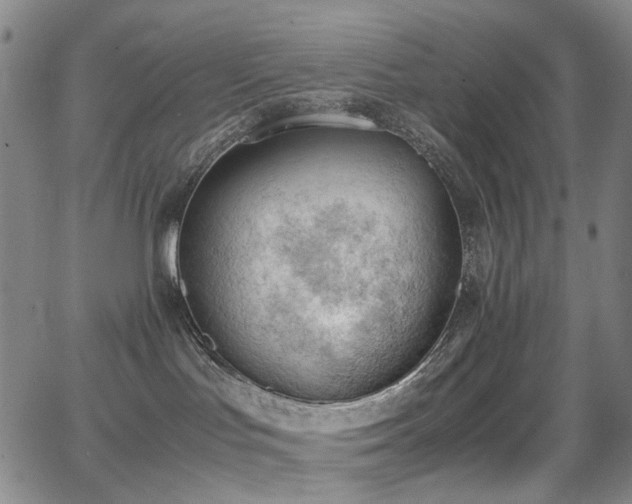 X0000062870047200601131452