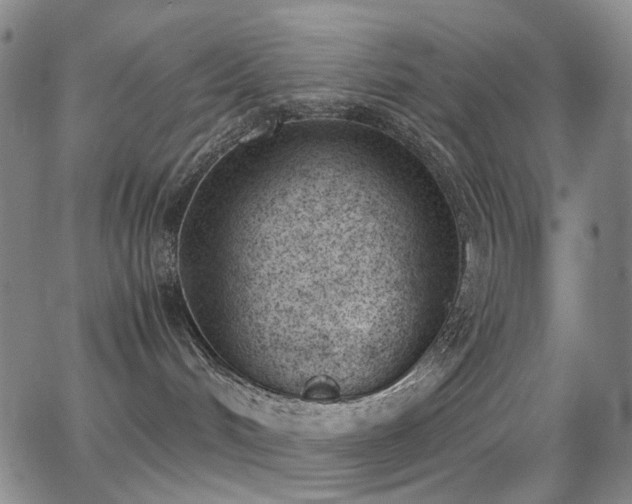 X0000062870048200601131452