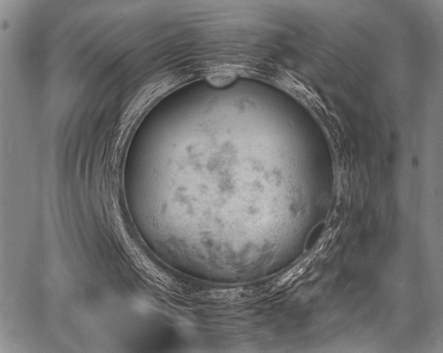 X0000062870049200601131452