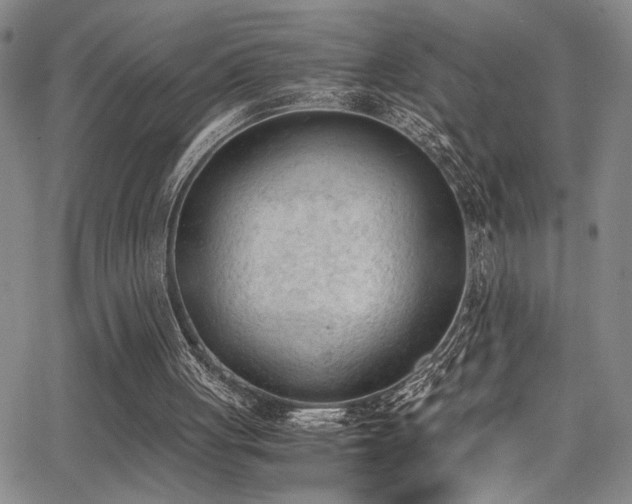 X0000062870051200601131452