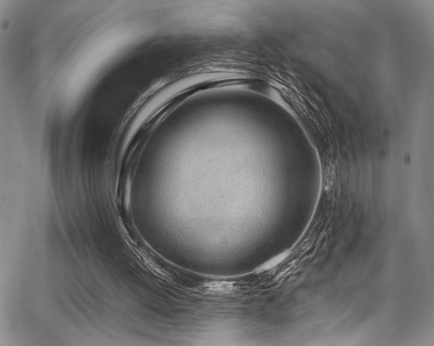 X0000062870052200601131452