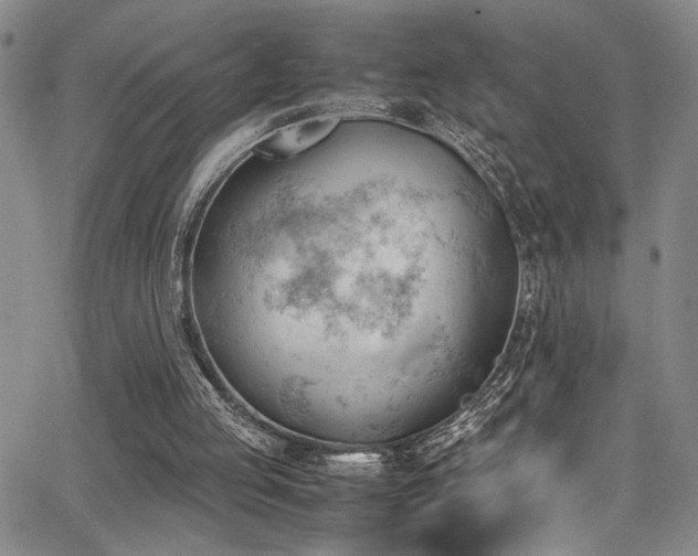 X0000062870053200601131452