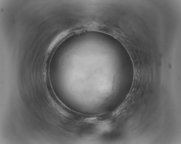 X0000062870054200601131452