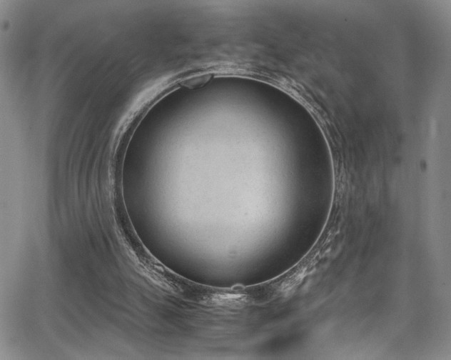 X0000062870055200601131452