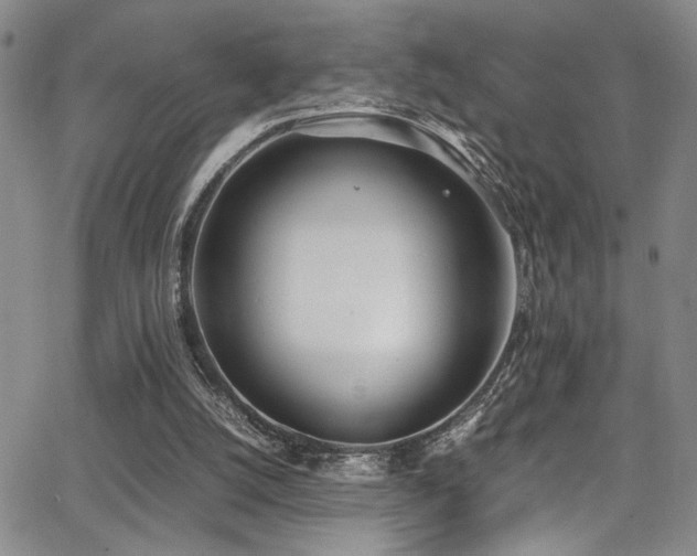 X0000062870056200601131452