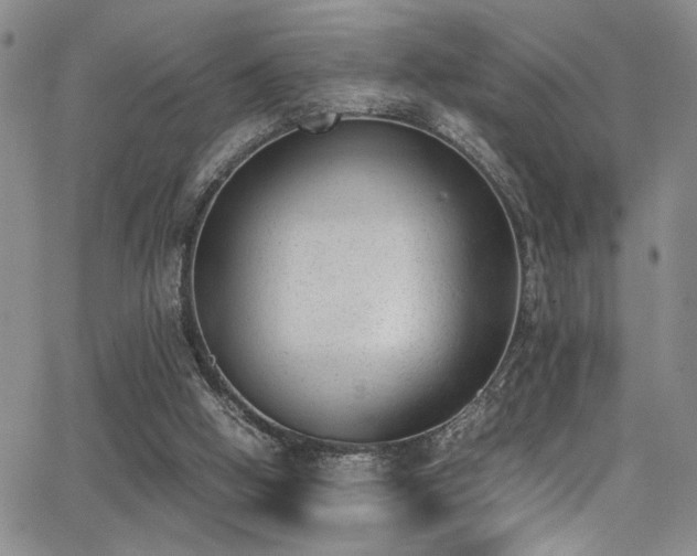 X0000062870058200601131452