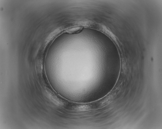 X0000062870059200601131452