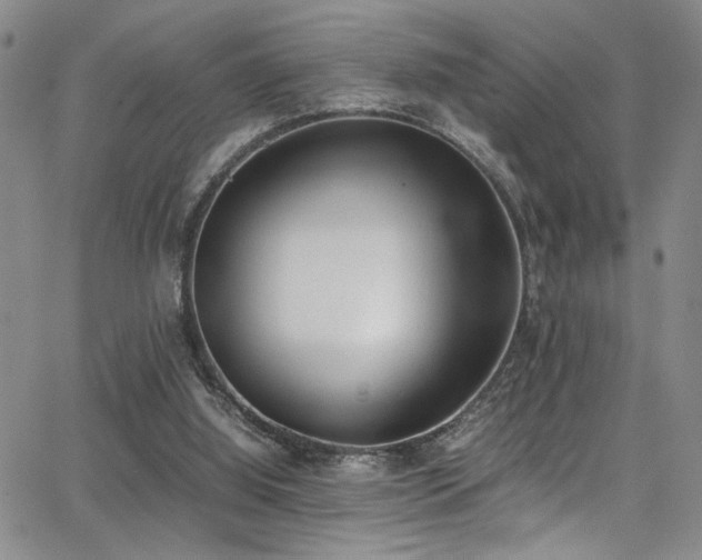 X0000062870060200601131452