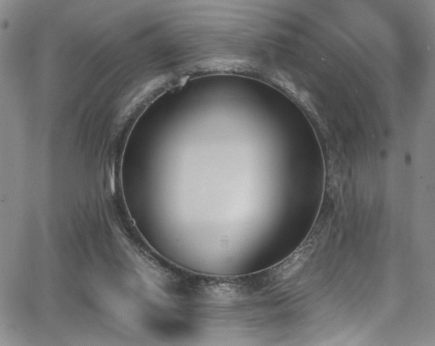 X0000062870062200601131452