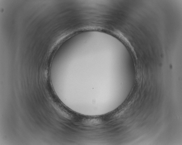 X0000062870063200601131452