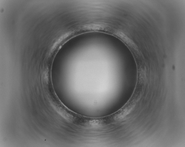 X0000062870064200601131452