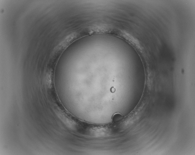 X0000062870065200601131452