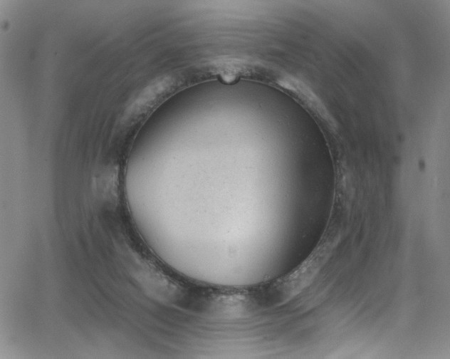 X0000062870066200601131452