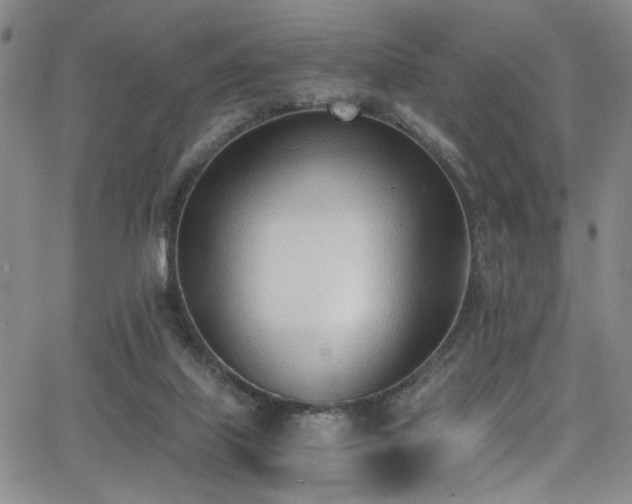 X0000062870067200601131452