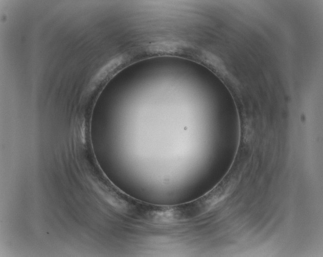 X0000062870068200601131452