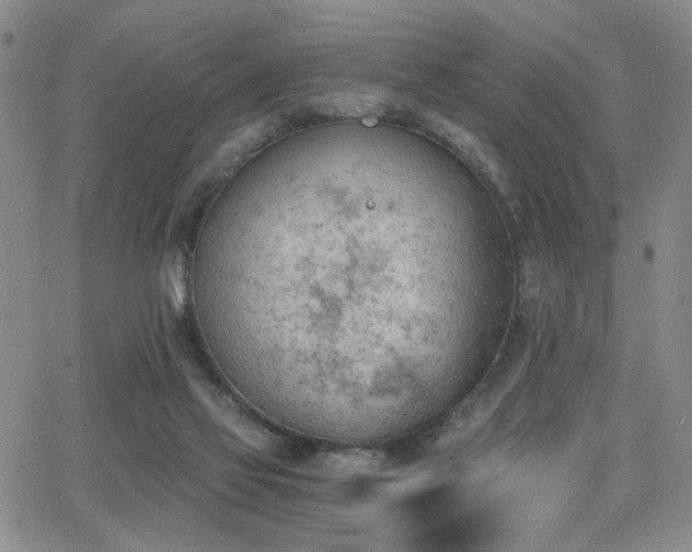 X0000062870069200601131452